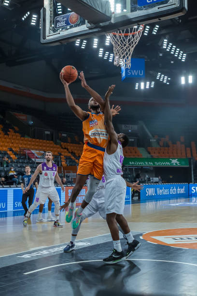 仅展示了墨 仅展示了墨